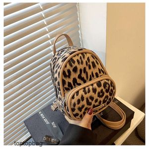 Sacs de soirée de mode de luxe de styliste Sac à main coréen imprimé léopard pour femmes en 2023 populaire sur Internet avec le même sac à bandoulière portable pour femmes fashi