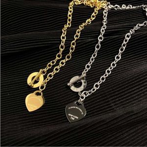 Designer luxe mode ketting choker keten 925 verzilverde 18k gouden letter tiffanily kettingen voor vrouwen sieradencadeau