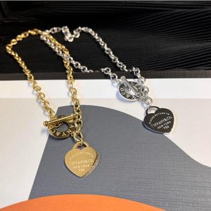 Designer luxe mode ketting choker ketting 925 verzilverde 18K vergulde roestvrijstalen letters kettingen voor vrouwen sieraden cadeau u7vi