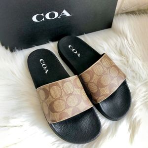 Ontwerper Man Coache Tasman Tazz Slipper Coache Sandaal Zomer Strand Slippers Vrouw Slipper Coache Stofzak Platte Basis Sexy Dames Scuff Printing Schoenen Met Doos Maat 35-45