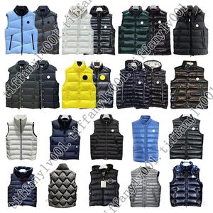 designer donsvesten voor heren, winterjas met capuchon, puffervest, geborduurde badge, warme bovenkleding, full-label jassen