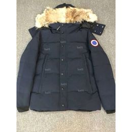Veste d'oie canadienne pour hommes et femmes, Parkers d'hiver à capuche, manteaux chauds et épais, pour hommes et femmes, 194