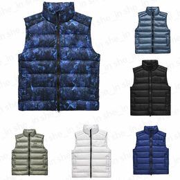 Designer Mens Puffer Gilets Femme Down Vestes Hiver Léger Puff Gilet Classique Crofton Parka Manteau Manteaux Homme Femmes Manteaux 5A Qualité