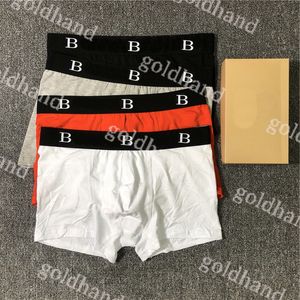Designer Mens Underwear Coton Pure Coton Sous-slip de la marque de marque Sous-Pant Sexy Male Boxers Briefs