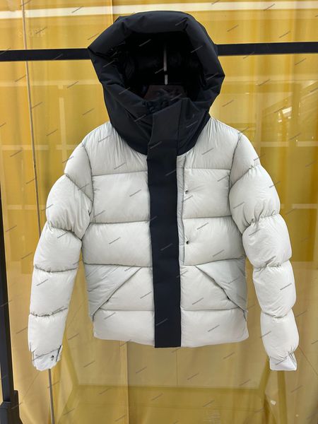 Designer Mens Winter Down Veste Parkas Salzman Luxury Man Puffer Puffer Puffer Cropped Veste Automne et hiver Nouveau Colonage à capuche