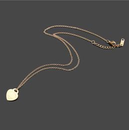 Designer ketting Fashion ketting roestvrijstalen ketting hart ketting