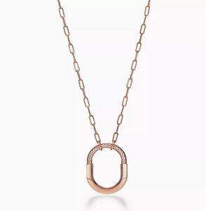 Collier de designer cadeau Sailormoon Hajewelry Nature fille Assiette anglaise Goth Sister Nurse Pendante Colliers Moisanite Friend Choker Jewan Swan