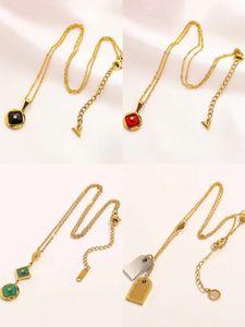 Designer ketting voor mannen en vrouwen gouden hanger ketting ontwerper sieraden mode roestvrijstalen kettingontwerpontwerp ketting cadeau