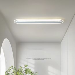 Designer New Acrylic AC85-265V LED plafonnier pour salle à manger salon restaurant Corridor Surface Mounted decor luminaire D2.0