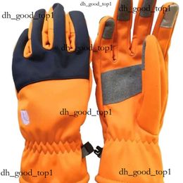 Diseñador North Glove The Jacket Glove Mens Women The Nort Face Winter Cold Motorcycle Pusfer Sports Biker Five Béisbol los guantes The NorthFaCepuffer Glove 432