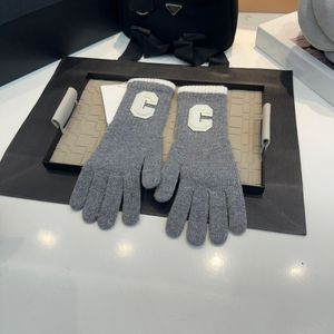 Designer Outdoor Warme handschoenen met volledige vingers en touchscreen voor heren Dames Winter Winddicht Waterdicht Antislip Verdikt Merk Koudbestendig Rijhandschoen Cadeau