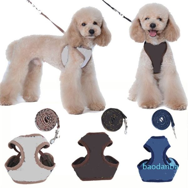 Designer Pet Harnais Leashe Mode Lettre Broderie Mignon Teddy Chiot Petit Chien Fournitures Personnalité Pet Laisse Collier 2PCS Sets303S