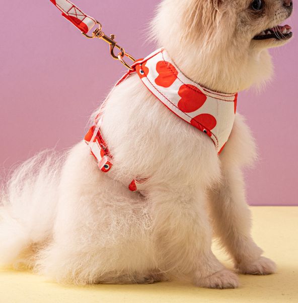 Diseñador Red Peach Heart Pet Chest Strap Set INS Arneses para perros Cuerda de tracción Collares para perros y gatos Correas