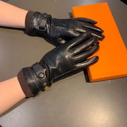 Gants à cinq doigts en peau de mouton de haute qualité du créateur, cuir de mouton importé, toucher spécial délicat et doux, cachemire à l'intérieur, gants chauds et confortables pour femmes