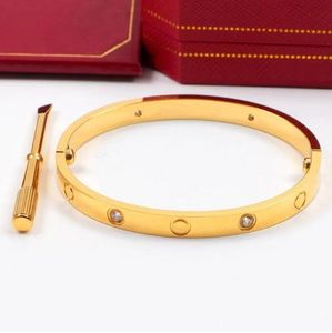 Braceuse de concepteur Bracelet Bijoux de luxe Brangle Brangle 18k Gold plaqué en titane en acier pour femmes hommes Silver Classic Bracelets Party Lovew Gift Bangles Rr