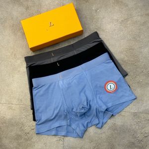 Designer Sexy hommes boxeurs marques caleçons Sexy classique homme Boxer décontracté Shorts doux respirant sous-vêtements pour homme culottes