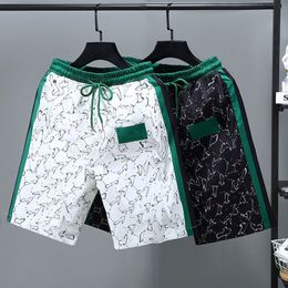 Designer shorts heren zomer ijszijde dunne stijl sport casual sneldrogende vijfkwart broek modetrend buitenkleding grote strandshorts