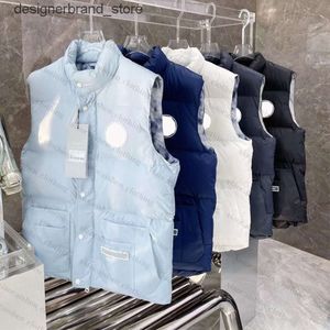 Winter Designer Pufferjack Jas Vest Canadas Ganzendons Parka Homme Jassen Chaquetas Bovenkleding Wolvenbont Capuchon Fourrure Manteau Wyndham Canada Heren QF2N OA LH