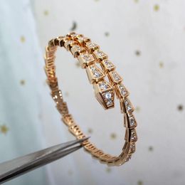 Designer Sier Torque Bangle Bamboo Botarmbanden voor vrouwen verstelbare serpentine volledige diamanten armband 3 kleuren casual par