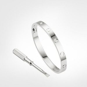 Ontwerper Steen roestvrij oog armband Liefde Armbanden zilver rose goud voor Vrouwen Mannen Armband Paar Sieraden Vrouw Bangle Met zak Maat 16-22cm