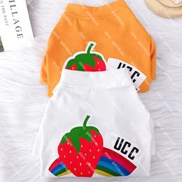 Diseñador Camiseta de mascotas de verano Naranja en blanco y negro Strawberry Rainbow Ropa de estampado Schnauzer Teddy Fadou Cat Manga corta transpirable XS-XXXL
