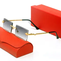 Designer zonnebrillen voor dames Heren Vintage Luipaard Randloos Krasbestendig Metaal Vierkant Brillenaccessoires S-vormig frame Buiten Bruin Leesbrillen