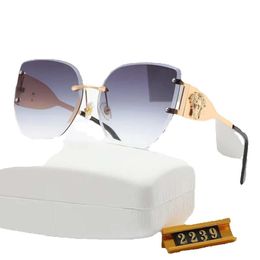 Lunettes de soleil de concepteur pour femmes hommes lunettes lentille pleine ver cadre UV400 coloré vintage preuve dame mode lunettes de soleil s impression surdimensionné adumbral