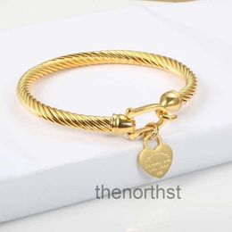 Designer Tiffanyitys Populartitanium Steel Bangle Cable Wire Gold Color Charm Bracelet avec fermeture à crochet pour femmes hommes bijoux de mariage cadeauxI4AS I4ASLL15D L15D