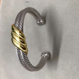 Designer Twisted Cable armband manchet Mens Brandles Charm Dames Bangle Draad Vintage C-vormige luxe Gold PLated Men 10 mm armbanden