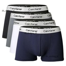 Designer onderbroek 4pcs Men Calvins Boxer Korte flexibele mode comfortabel en ademende Calvins ondergoed shorts ondergoed man Mooi solide slipje 206