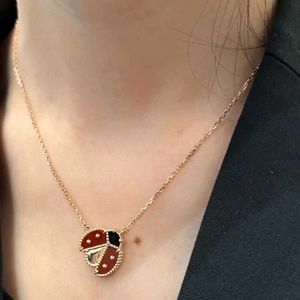 Designer v Gold High Edition Van Ladybug Grade ketting voor vrouwen verdikt 18k roze plating ins ins