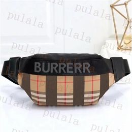 Bolsa de cintura de diseñador bolsas de cofre de bumbag
