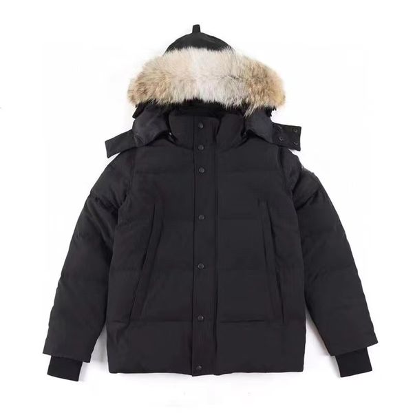 Designer vent et vestes de neige hommes vraie peau de loup veste coupe-vent en plein air hommes femmes imperméable à capuche vers le bas femmes manteau d'hiver