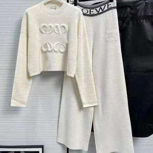 Designer Femmes Survêtements Pull Sweatshirts Costume De Sport Marque Lettre Pantalon Veste Deux Pièces Vêtements Épais Sweats À Capuche Hommes Pantalons Loewees