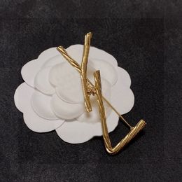Designer Womens Brooch Fashion Luxury Bijoux Brooch Alloy Crown Brooch Brooch Elegant Polydold Brooches Gifts for Woman Accessoires