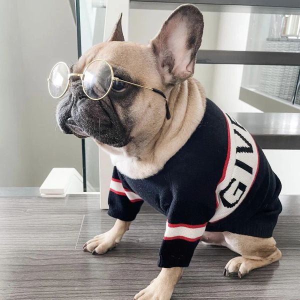 Diseñadores Suéteres para perros Cinco tamaños Suéteres para mascotas de moda Letras de marca de lujo Ropa para perros Paño para cachorros en blanco y negro para perros pequeños