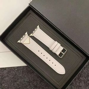 ontwerpers geometrie horlogeband dames heren zakelijke horlogeband voor Apple Watch Ultra S8 7 6 5 mode casual verstelbare horlogeband luxe horlogeband 364