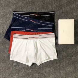 Designers Hommes Boxers Sous-vêtements Marques Sous-vêtements Sexy Classique Homme Casual Shorts Doux Respirant Coton Boxer Sous-vêtements