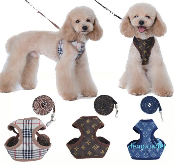 Designers Pet Harnais Laisses Lettre De Mode Broderie Mignon Teddy Chiot Petit Chien Fournitures Personnalité Pet Laisse Collier9829212