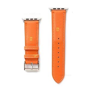 Designer Smart Watch Strap Mode Apple Watch Band Bracelet pour Iwatch4 3 2 1 5 6 7 Poignet en cuir 38 40 41 42 44 45mm designerFM9W