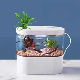 Mini acuario creativo de escritorio, pecera con sistema de filtración bioquímica y luz LED, ciclo de agua ecológico para peces Betta 240124