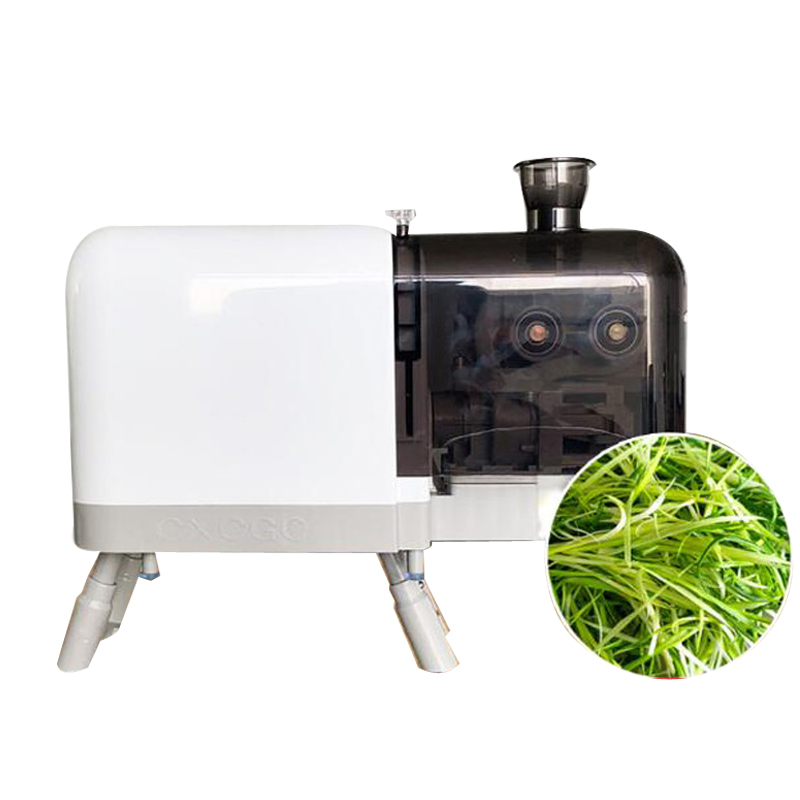 Desktop Small Restaurant Leek Scallion Shredding Cutting Machine Shred Garlic Sprouts Maker food processor