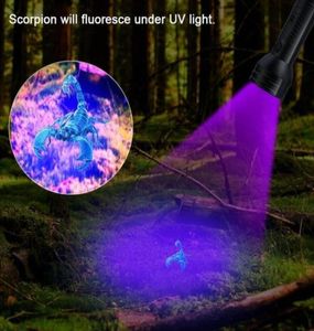 Detector 51Led Light 51 Lámpara Perro Ultra Violet Pet Linterna Leds Blacklight Orina para manchas UV Antorcha Cama y 395nm Bug Jmbkc7465635