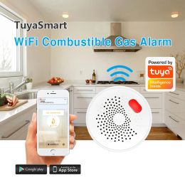 Détecteur Application Push Notification and Control Gas Natural LPG Capteur de fuite WIFI ALARME DE SOMME SMEUX SEMPS SIRE