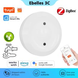 Détecteur Tuya Zigbee Capteur de fuite d'eau Smart Home Automation Immersion Capteur ALARM SMARTLIFE APPLICATION DE SETTENTIFICATION PROTECTION