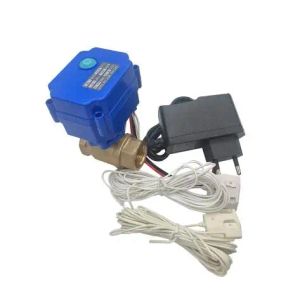 Détecteur de fuite d'eau, système d'avertissement de vanne de détection de fuite d'eau DN15 DN20 DN25 BSP, vanne à bille motorisée avec buzzer et câble de détecteur d'eau sensible