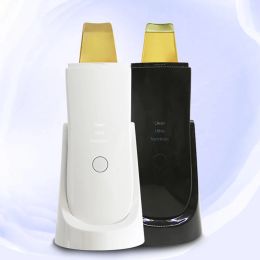 Appareils épurateur de peau ultrasonique 24kHz avec Nano brume hydratante dispositif de nettoyage en profondeur des pores Machine exfoliante de pelage du visage
