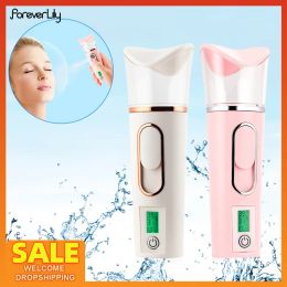 Appareils 2in1 Portable Mini Facial Steamer Skin Test Nano Mister 30ML Spray Face Mist Pulvérisateur Hydratant en profondeur USB Soins de la peau Nébuliseur corporel