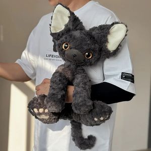 Devon Rex Curly Haired Cat Poll Doll mignon Toy Toy Girdal Girl Embrace Oread Room Decoration Lucky Simulated Toys 240426