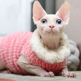 Devon Rex épaississement manteau en peluche chat pull Costume Sphynix vêtements Katten Sphynx pull vêtements produits pour vêtements d'extérieur d'hiver 240219